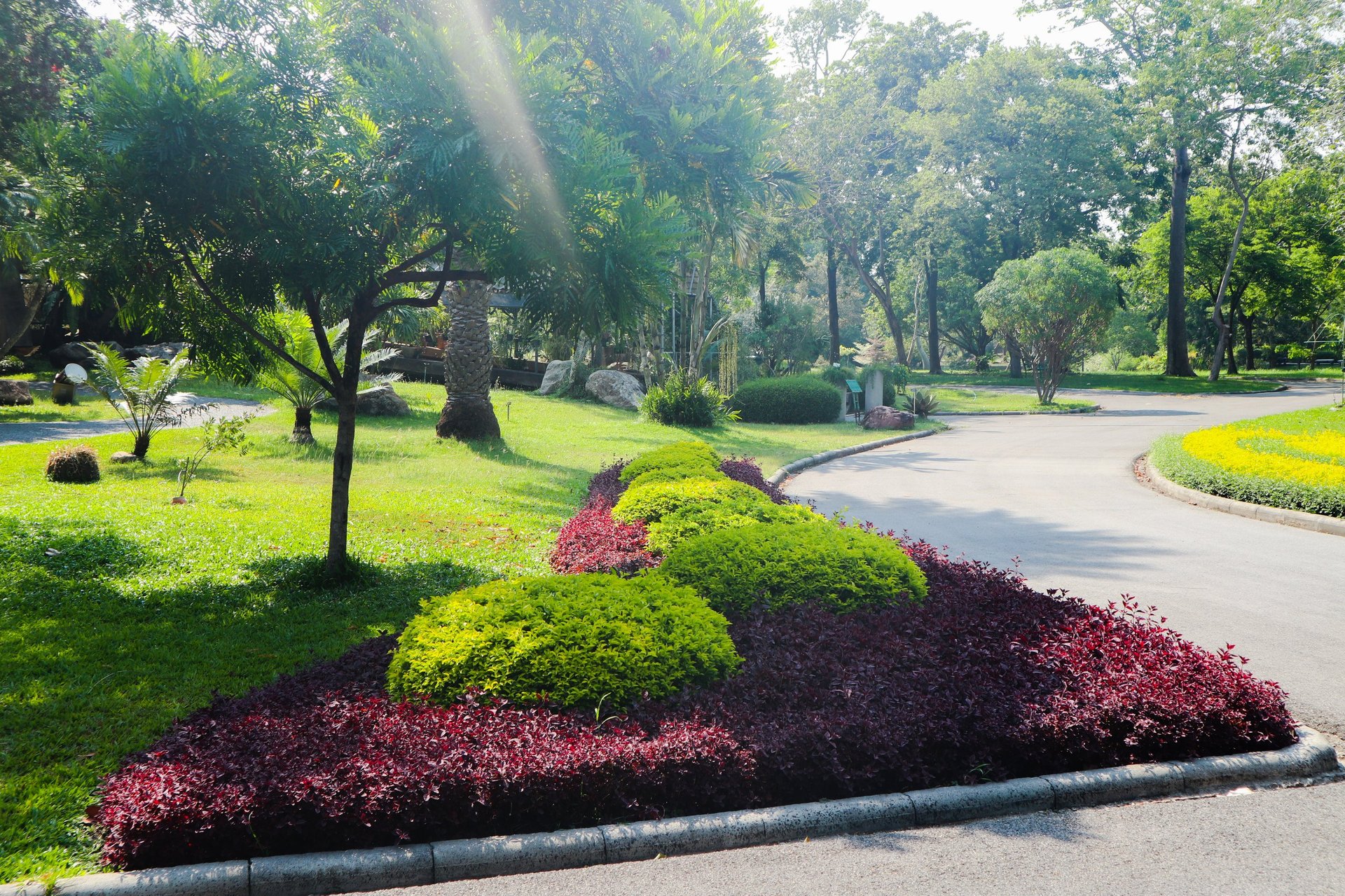 Beautiful green landscape with trees and flowers