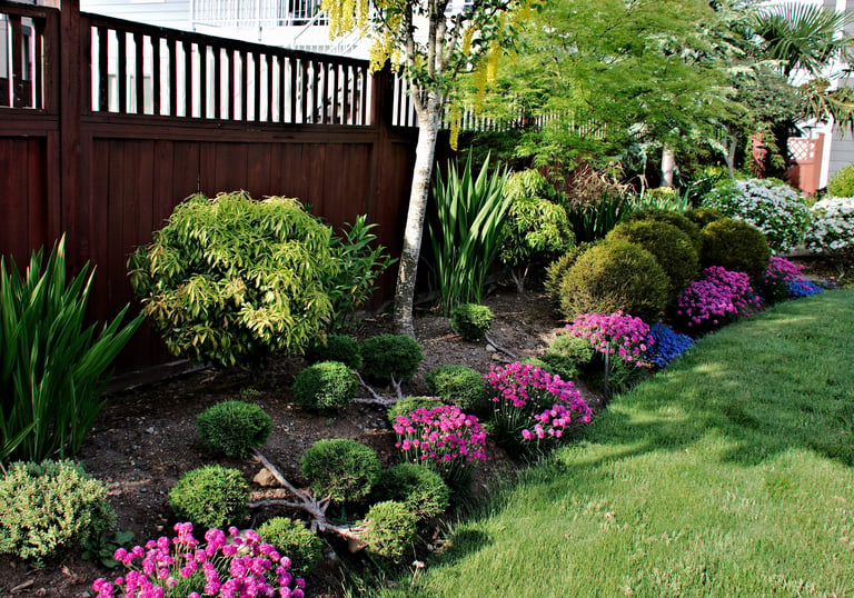 Flowerbed with bushes and flowers in bloom
