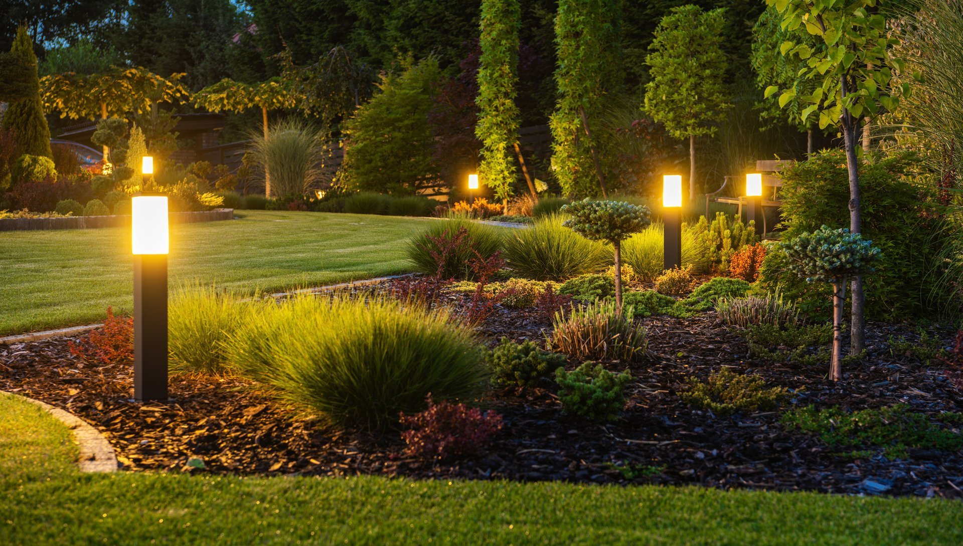 Beautifully illuminated garden at night