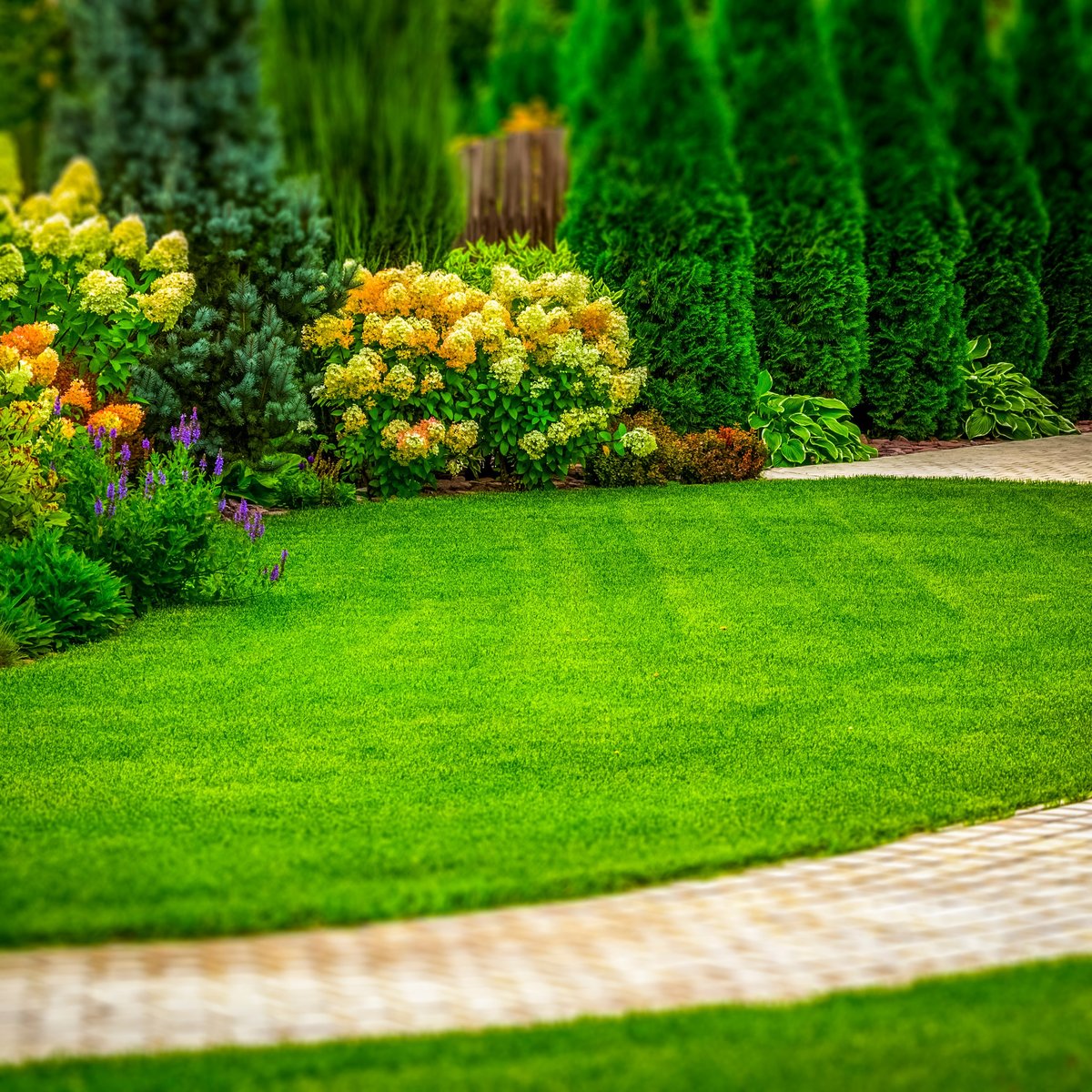 Freshly cut grass
