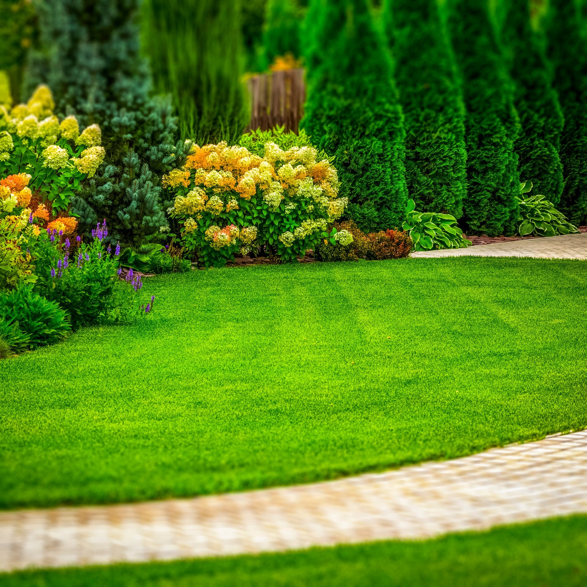 Freshly cut grass
