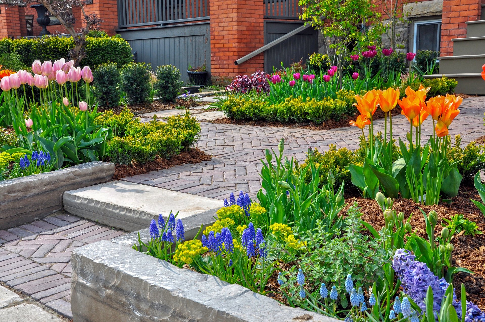 Urban front yard with brick paver walkway