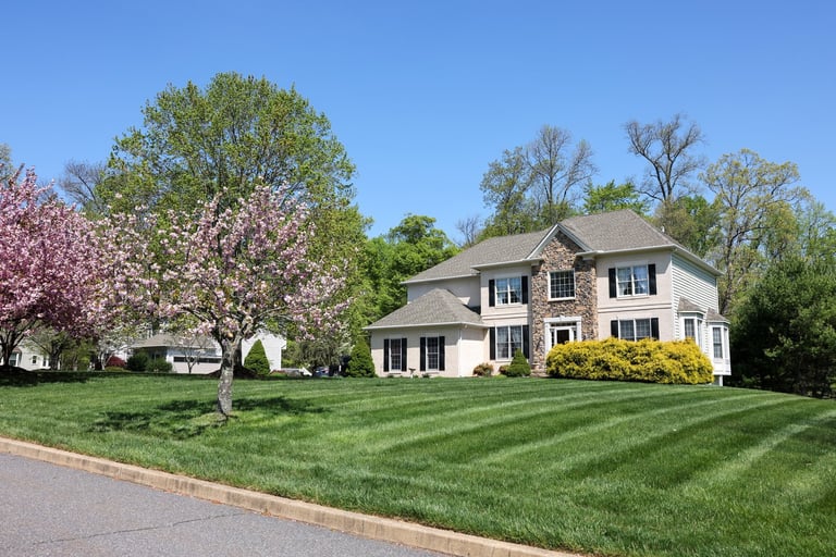 Colonial style home with blooming cherry blossoms in front yard
