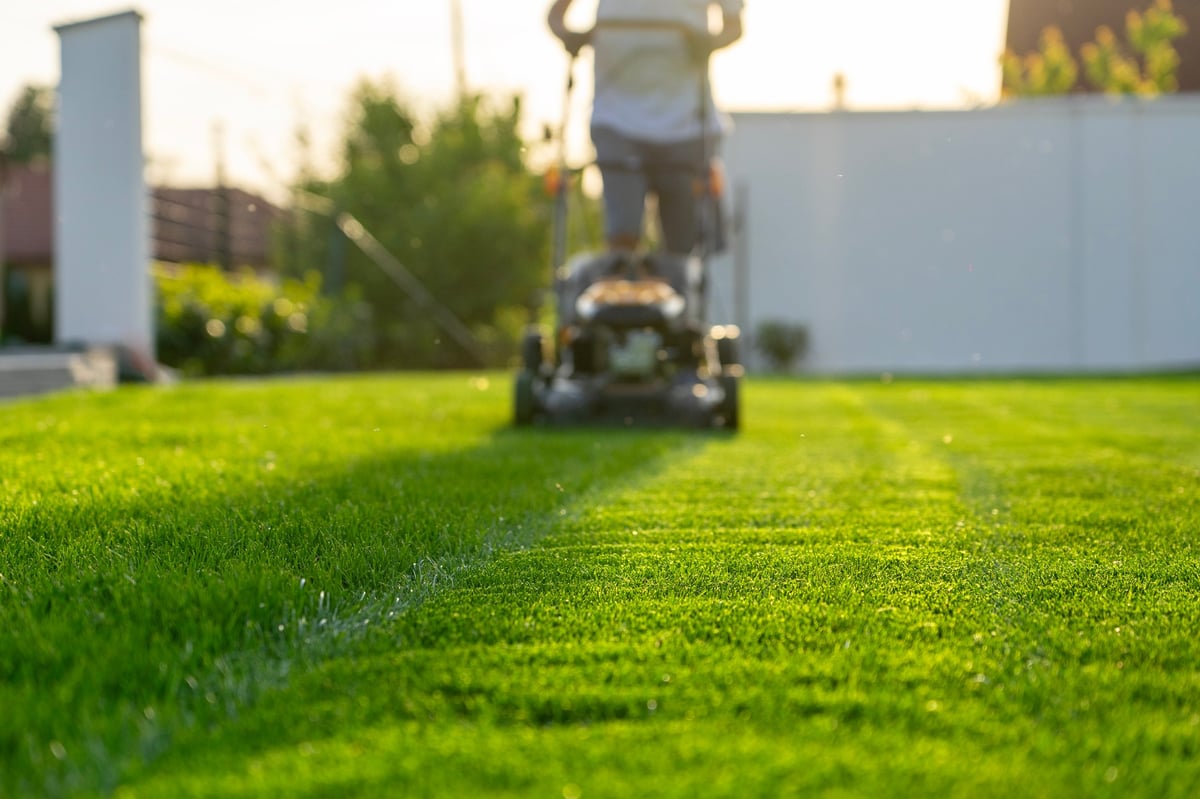 Professional lawn mowing