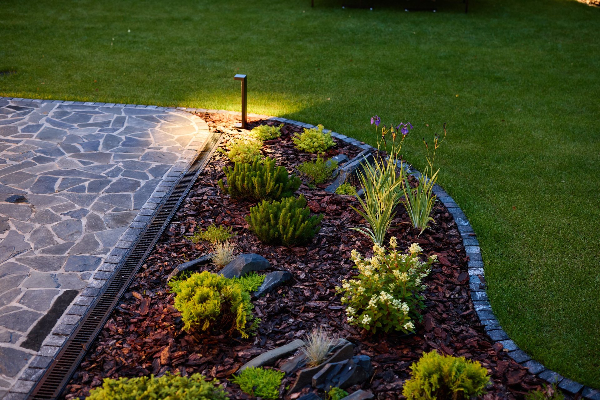 Beautifully designed garden with night lighting