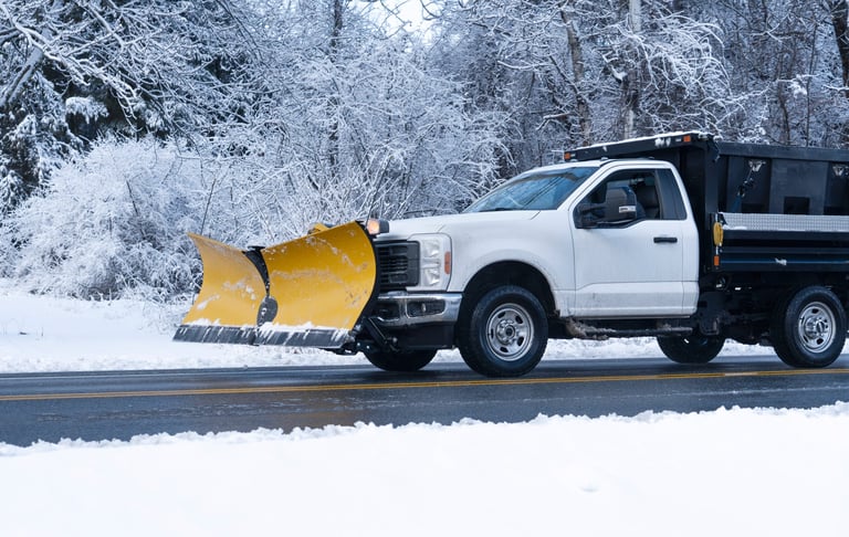 Truck with snowplow installed