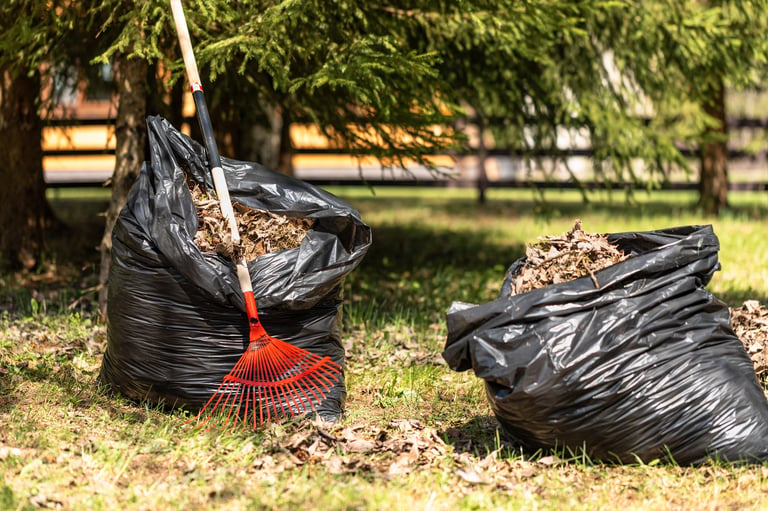 Raking fallen leaves and collecting dry leaves