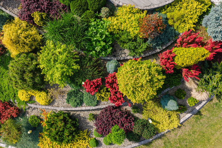 Beautiful garden landscape with colorful plants