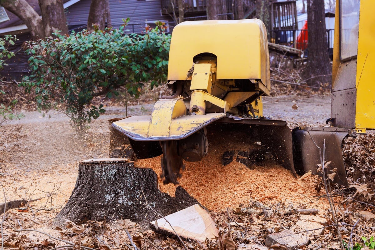 Stump grinding machine