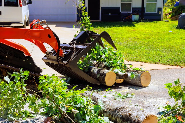 Skid steer removing fallen tree logs from driveway